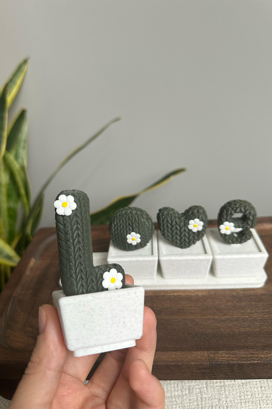 Love Kaktüs Biblo Seti