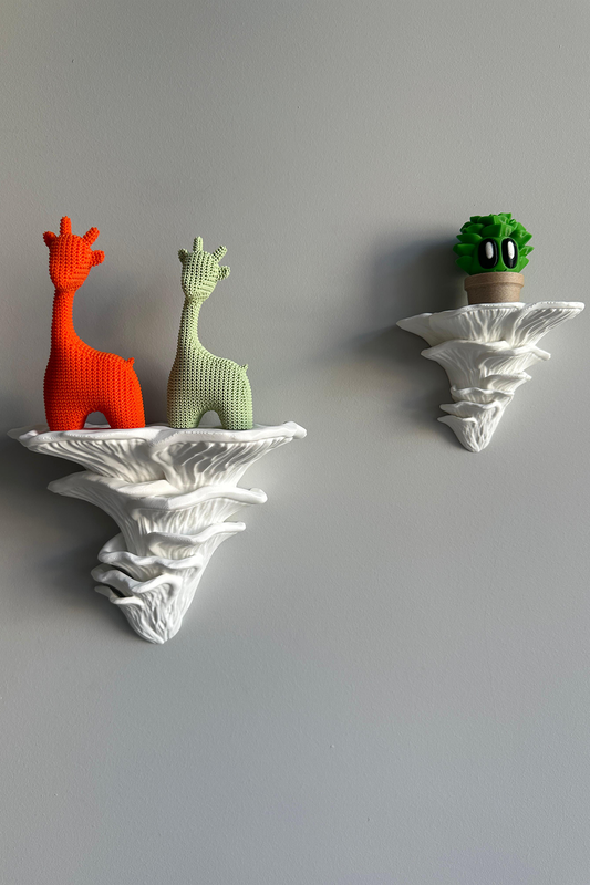 Mantar Duvar Rafı Seti 2li