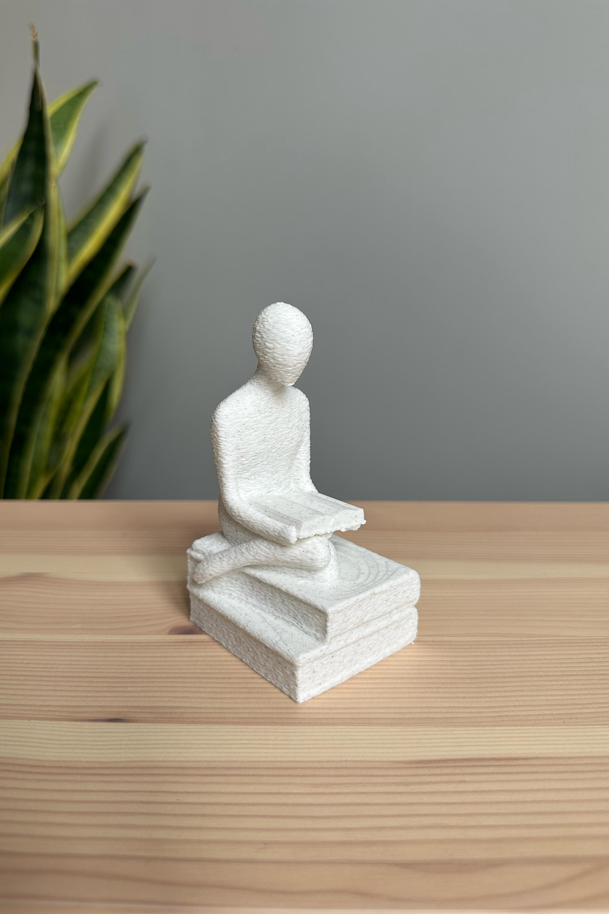 Kitap Okuyan Biblo Seti