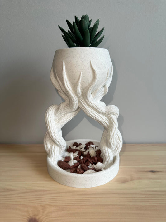 Sarmaşık Sukulent Vazo