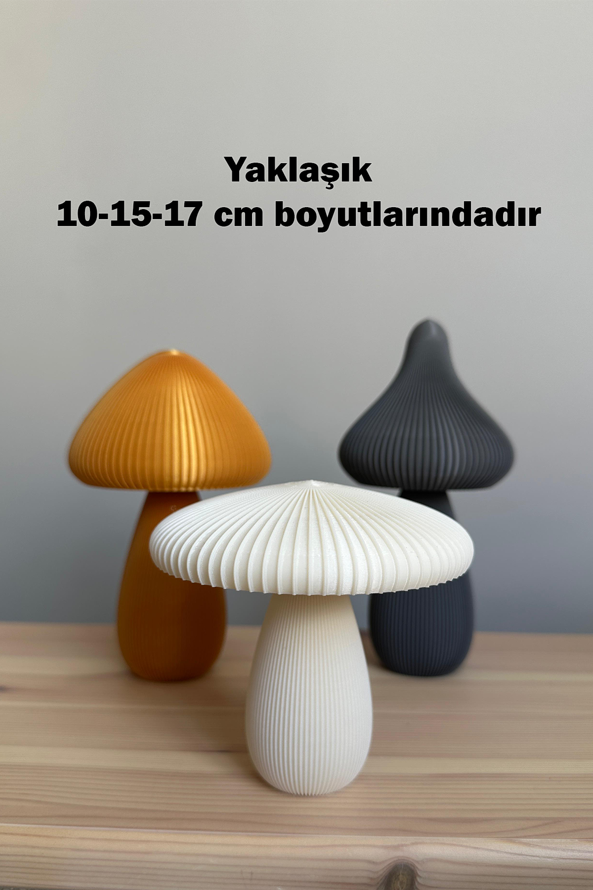 Çizgili Mantar Biblo Seti