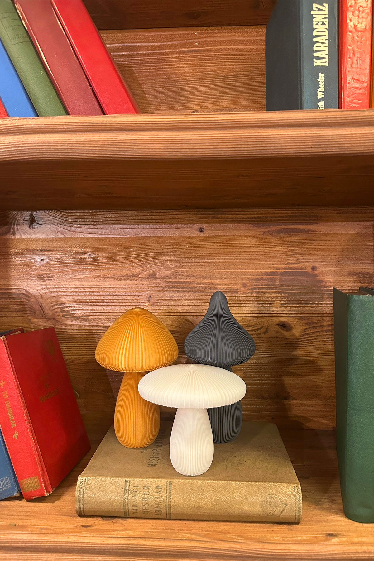 Çizgili Mantar Biblo Seti