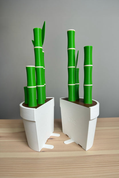 Bambu Kitap Tutucu