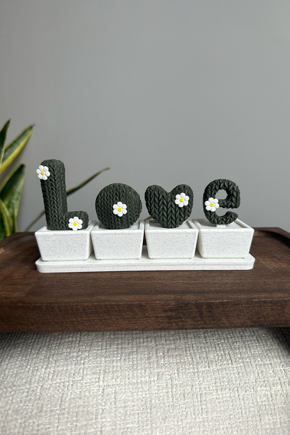 Love Kaktüs Biblo Seti