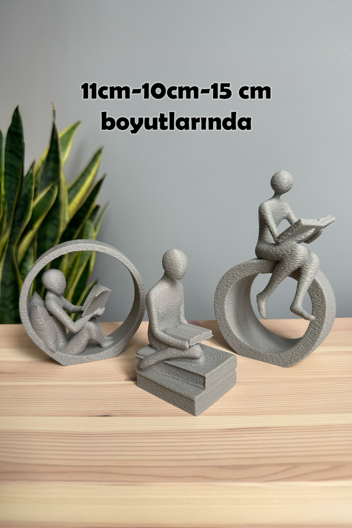 Kitap Okuyan Biblo Seti